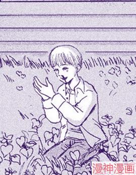 鱼腥草花盛放时~